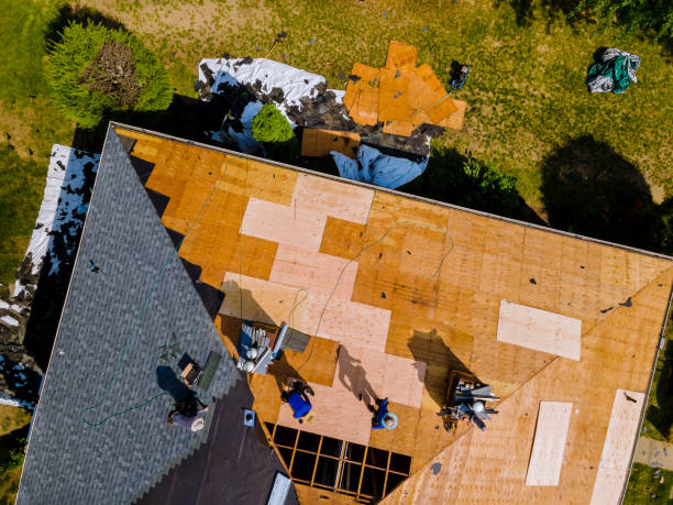 Best Local Roofing Companies  in Wofford Heights, CA