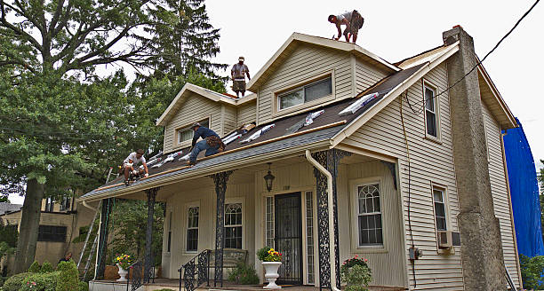 Best Roof Gutter Cleaning  in Wofford Heights, CA